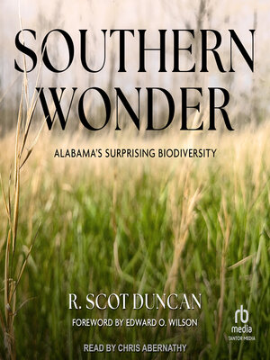 cover image of Southern Wonder